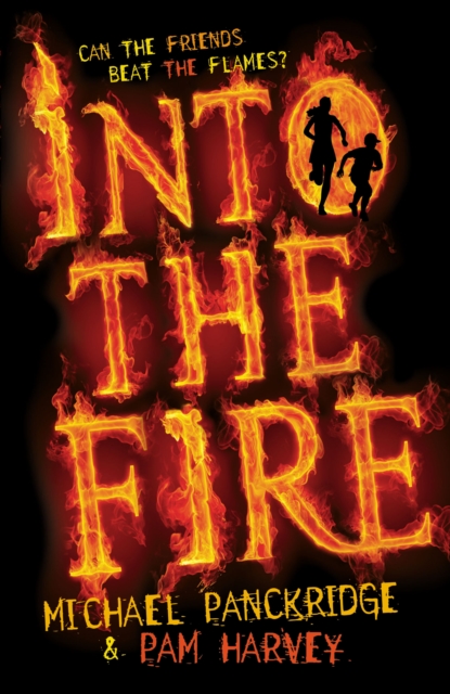 Into the Fire, EPUB eBook