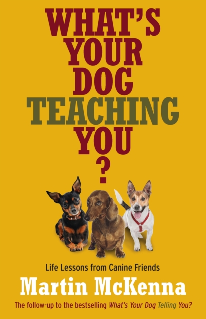 What's Your Dog Teaching You?, Paperback / softback Book