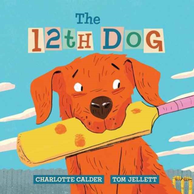 The 12th Dog, Paperback / softback Book