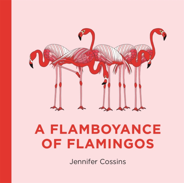 A Flamboyance of Flamingos, Hardback Book