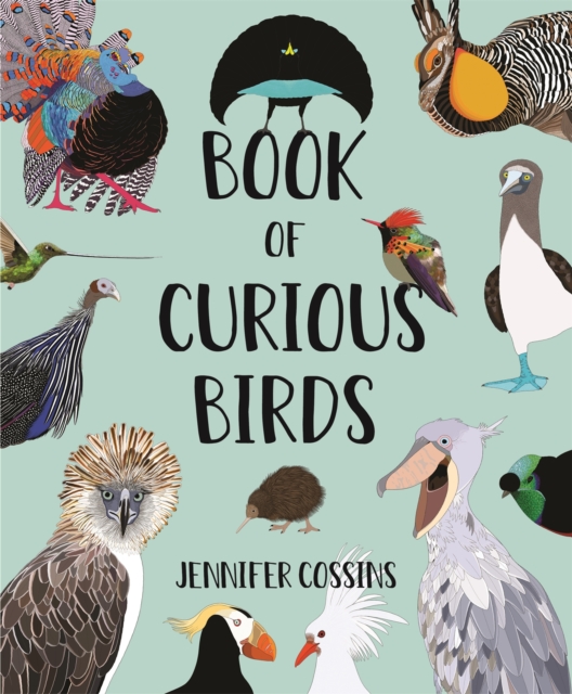 Book of Curious Birds, Hardback Book