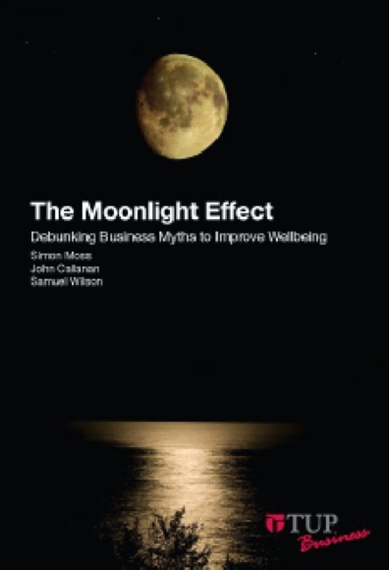 The Moonlight Effect : Debunking Business Myths to Improve Wellbeing, Paperback / softback Book