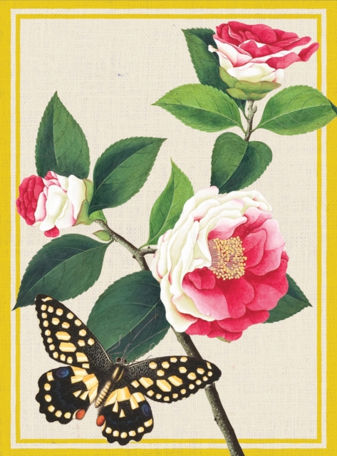 Winterthur Butterflies Everyday Embellished Notecards, Other merchandise Book