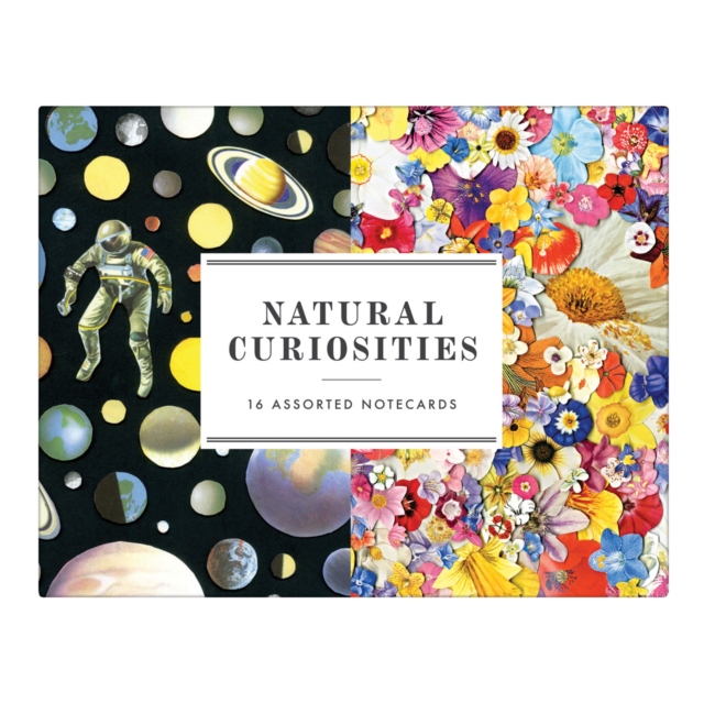 Natural Curiosities Greeting Assortment Notecards, Cards Book