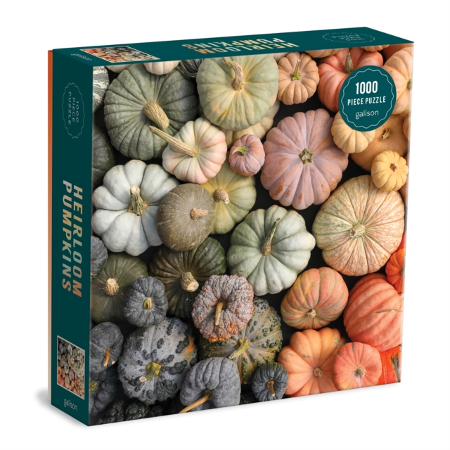 Heirloom Pumpkins 1000 Piece Puzzle in Square Box, Jigsaw Book