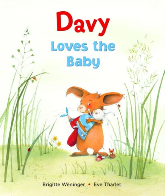 Davy Loves the Baby, Hardback Book