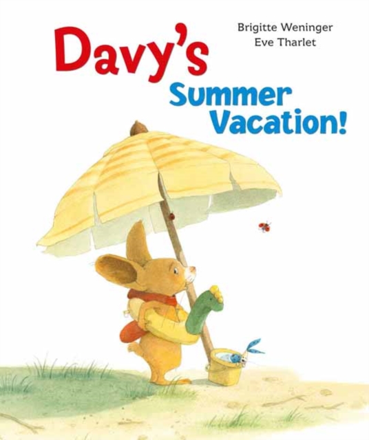 Davy's Summer Vacation, Hardback Book