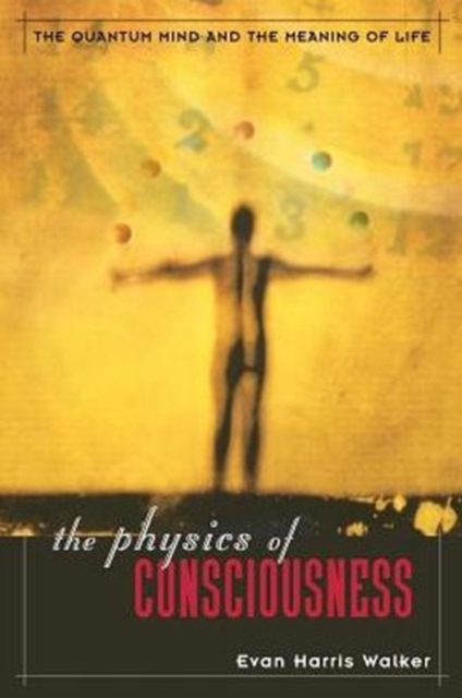 The Physics Of Consciousness : The Quantum Mind And The Meaning Of Life, Paperback / softback Book