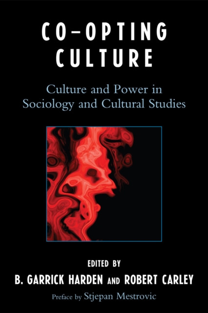 Co-opting Culture : Culture and Power in Sociology and Cultural Studies, Hardback Book