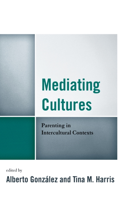 Mediating Cultures : Parenting in Intercultural Contexts, Paperback / softback Book
