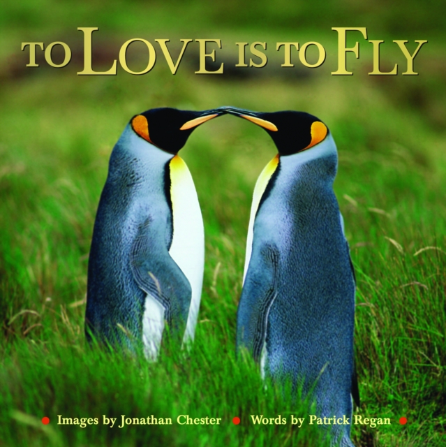 To Love Is to Fly, EPUB eBook