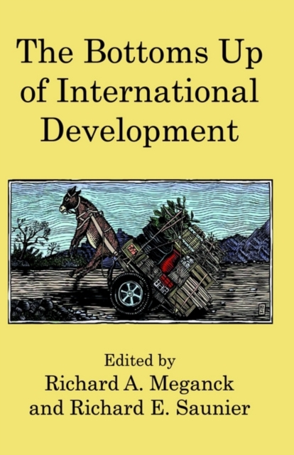 The Bottoms Up of International Development, Paperback / softback Book