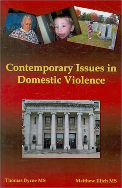 Contemporary Issues in Domestic Violence, Paperback / softback Book