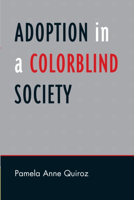 Adoption in a Color-Blind Society, Paperback / softback Book
