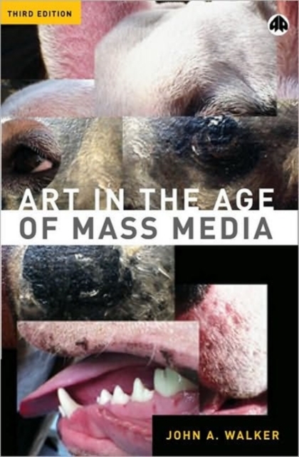 Art in the Age of Mass Media, Hardback Book
