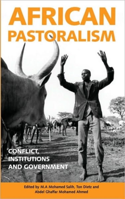 African Pastoralism : Conflict, Institutions and Government, Hardback Book