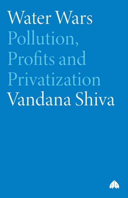 Water Wars : Pollution, Profits and Privatization, Paperback / softback Book