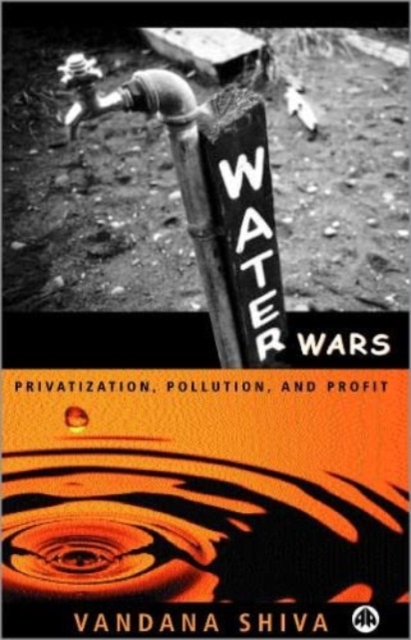 Water Wars : Pollution, Profits and Privatization, Hardback Book