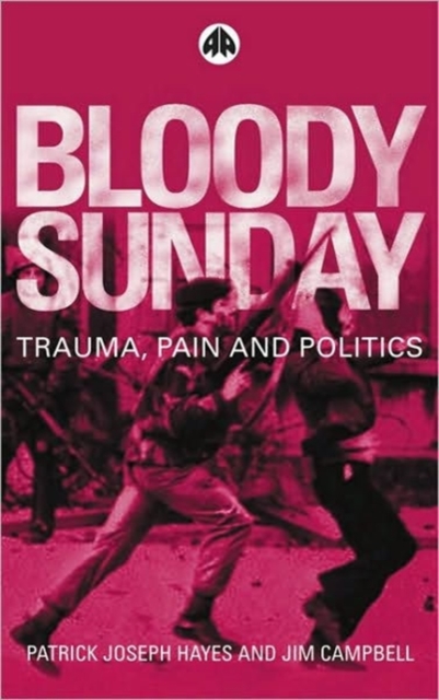Bloody Sunday : Trauma, Pain & Politics, Paperback / softback Book