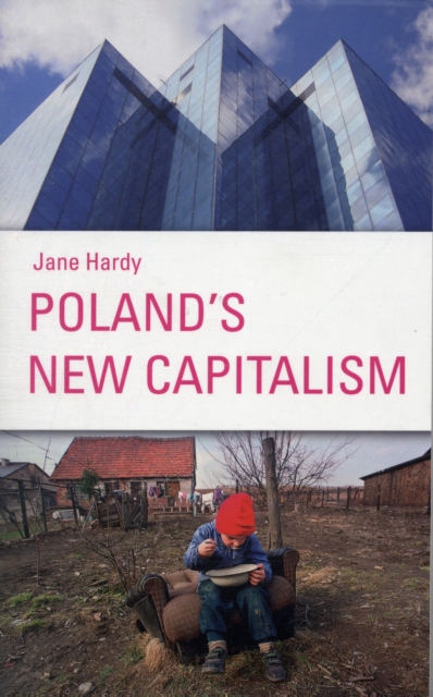 Poland's New Capitalism, Paperback / softback Book