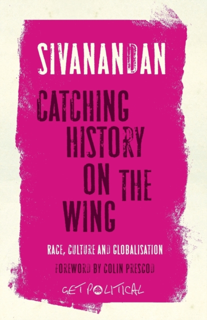 Catching History on the Wing : Race, Culture and Globalisation, Paperback / softback Book