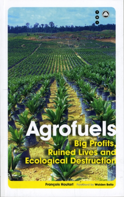 Agrofuels : Big Profits, Ruined Lives and Ecological Destruction, Paperback / softback Book