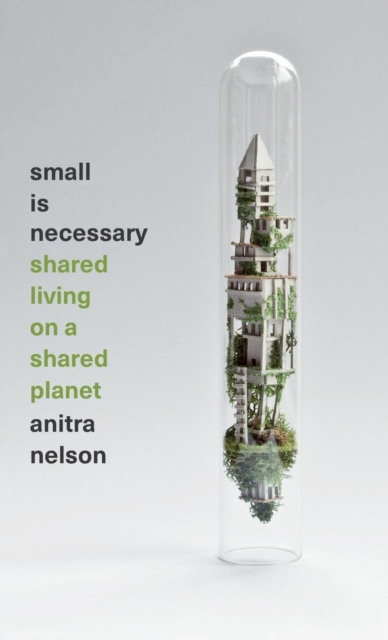 Small is Necessary : Shared Living on a Shared Planet, Hardback Book