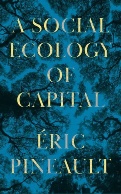 A Social Ecology of Capital, Paperback / softback Book