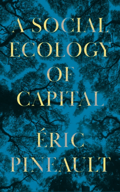 A Social Ecology of Capital, PDF eBook