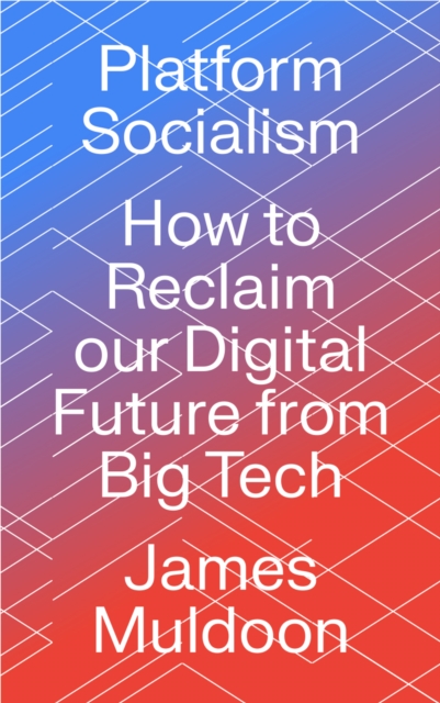 Platform Socialism : How to Reclaim our Digital Future from Big Tech, EPUB eBook