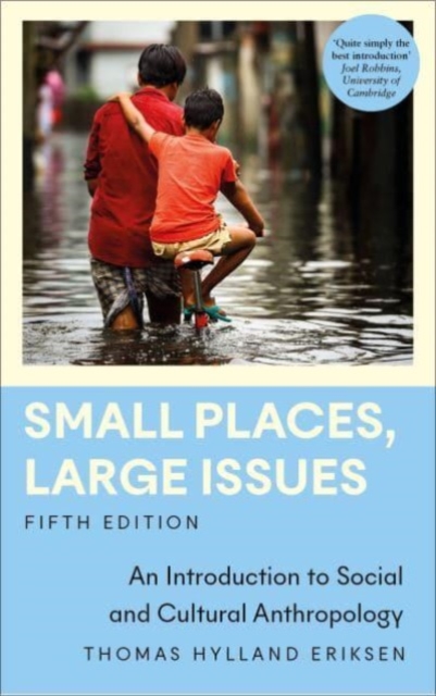 Small Places, Large Issues : An Introduction to Social and Cultural Anthropology, Paperback / softback Book