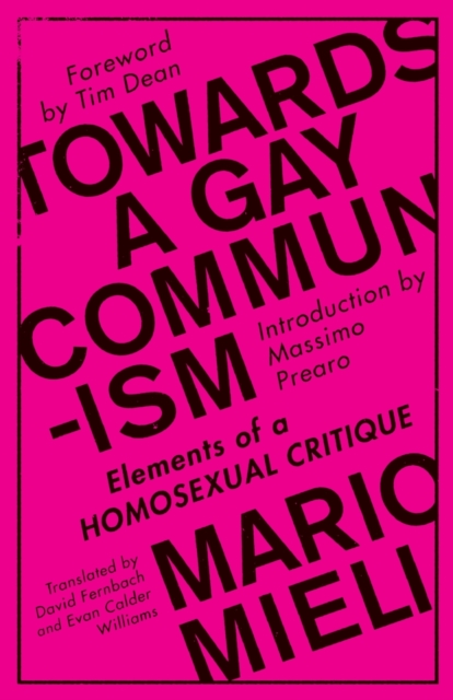 Towards a Gay Communism : Elements of a Homosexual Critique, Paperback / softback Book