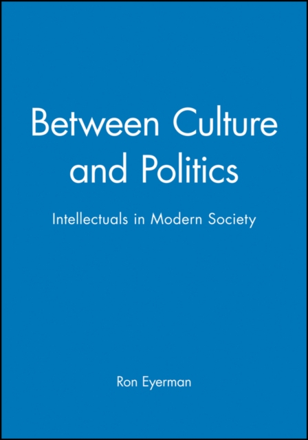 Between Culture and Politics : Intellectuals in Modern Society, Hardback Book