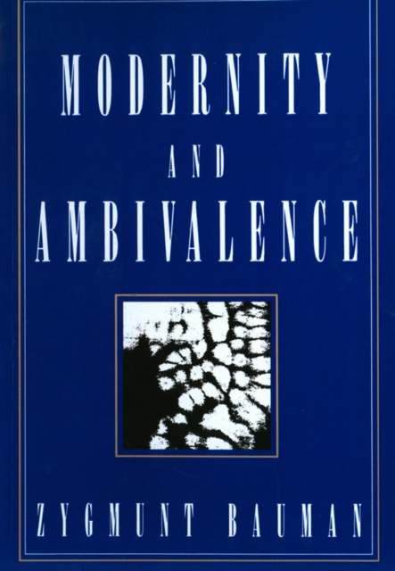 Modernity and Ambivalence, Paperback / softback Book