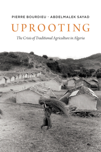 Uprooting : The Crisis of Traditional Algriculture in Algeria, Hardback Book