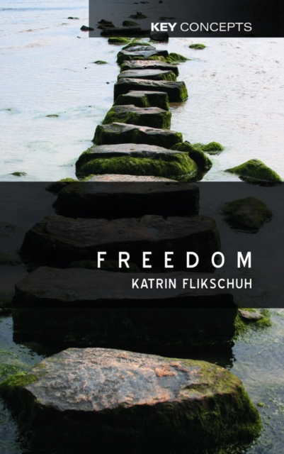 Freedom : Contemporary Liberal Perspectives, Paperback / softback Book