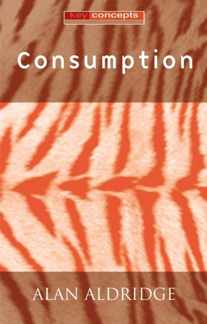 Consumption, Hardback Book