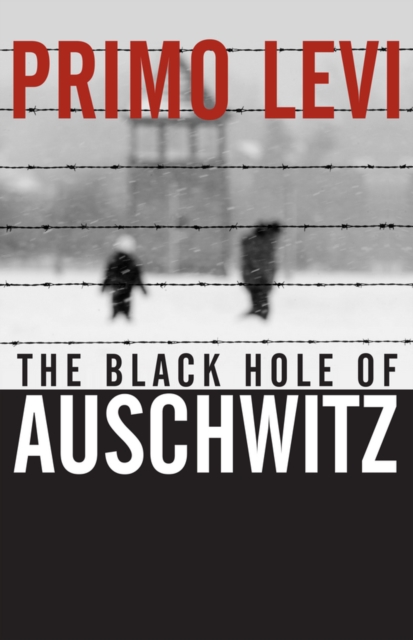 The Black Hole of Auschwitz, Paperback / softback Book