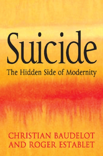 Suicide : The Hidden Side of Modernity, Hardback Book