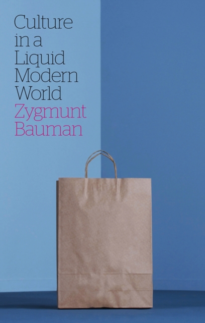 Culture in a Liquid Modern World, Paperback / softback Book