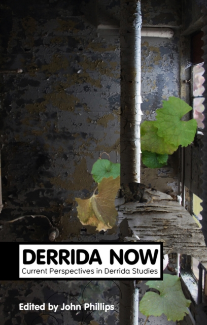 Derrida Now : Current Perspectives in Derrida Studies, Paperback / softback Book