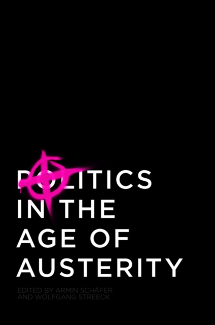 Politics in the Age of Austerity, Hardback Book