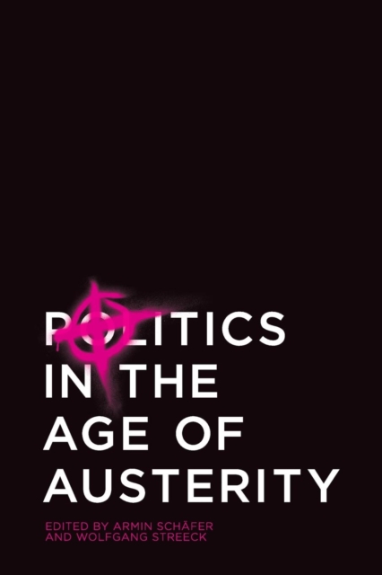 Politics in the Age of Austerity, Paperback / softback Book