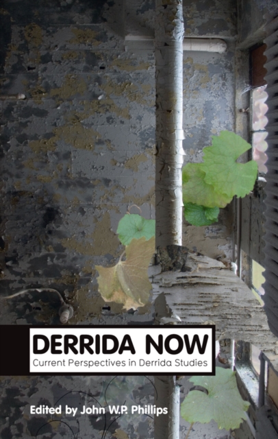 Derrida Now : Current Perspectives in Derrida Studies, EPUB eBook