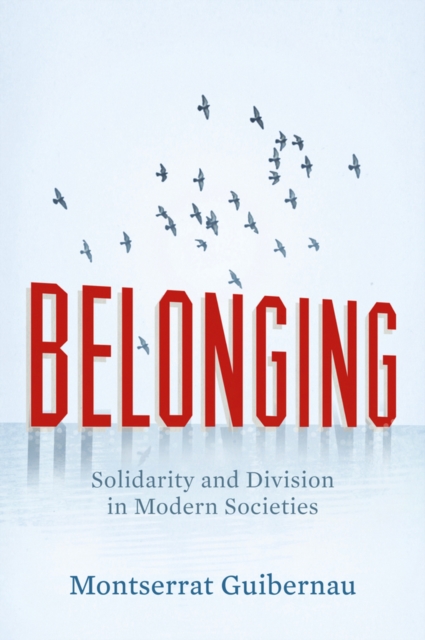 Belonging : Solidarity and Division in Modern Societies, EPUB eBook