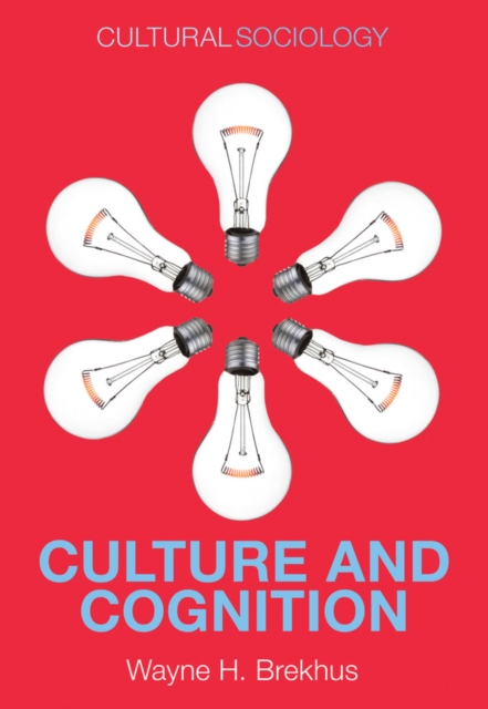 Culture and Cognition : Patterns in the Social Construction of Reality, Paperback / softback Book