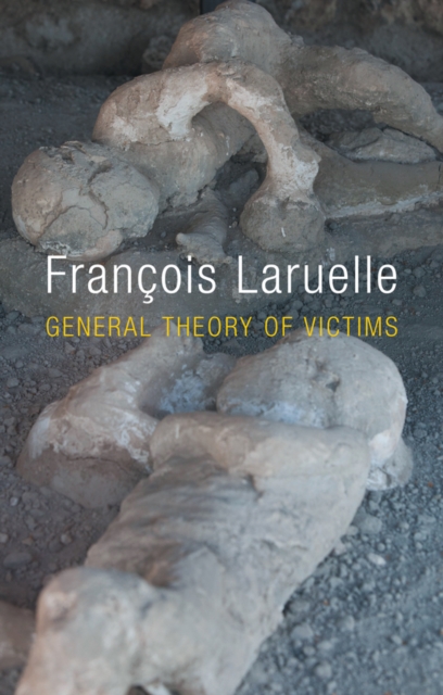General Theory of Victims, Hardback Book