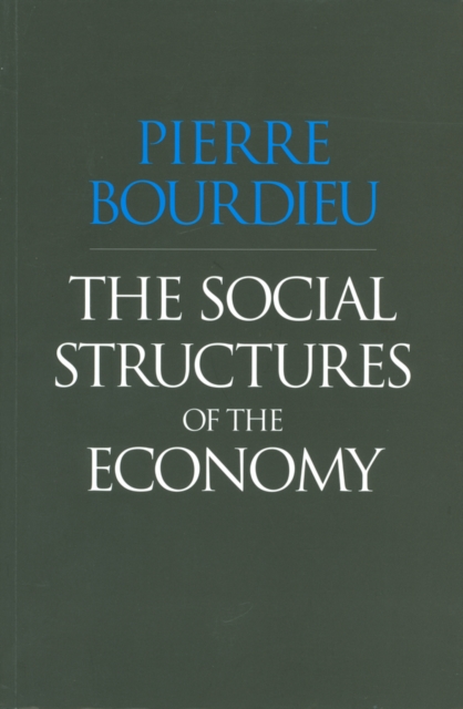 The Social Structures of the Economy, EPUB eBook