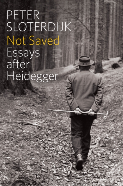 Not Saved : Essays After Heidegger, Paperback / softback Book
