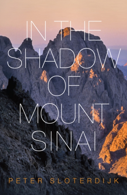 In The Shadow of Mount Sinai, Hardback Book
